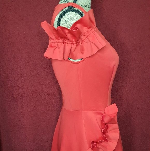 NWOT Ted Baker Detailed Ruffled w/ Pockets Dress - Picture 7 of 8